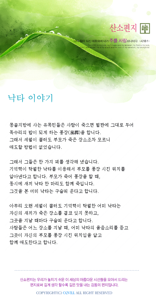 낙타 이야기